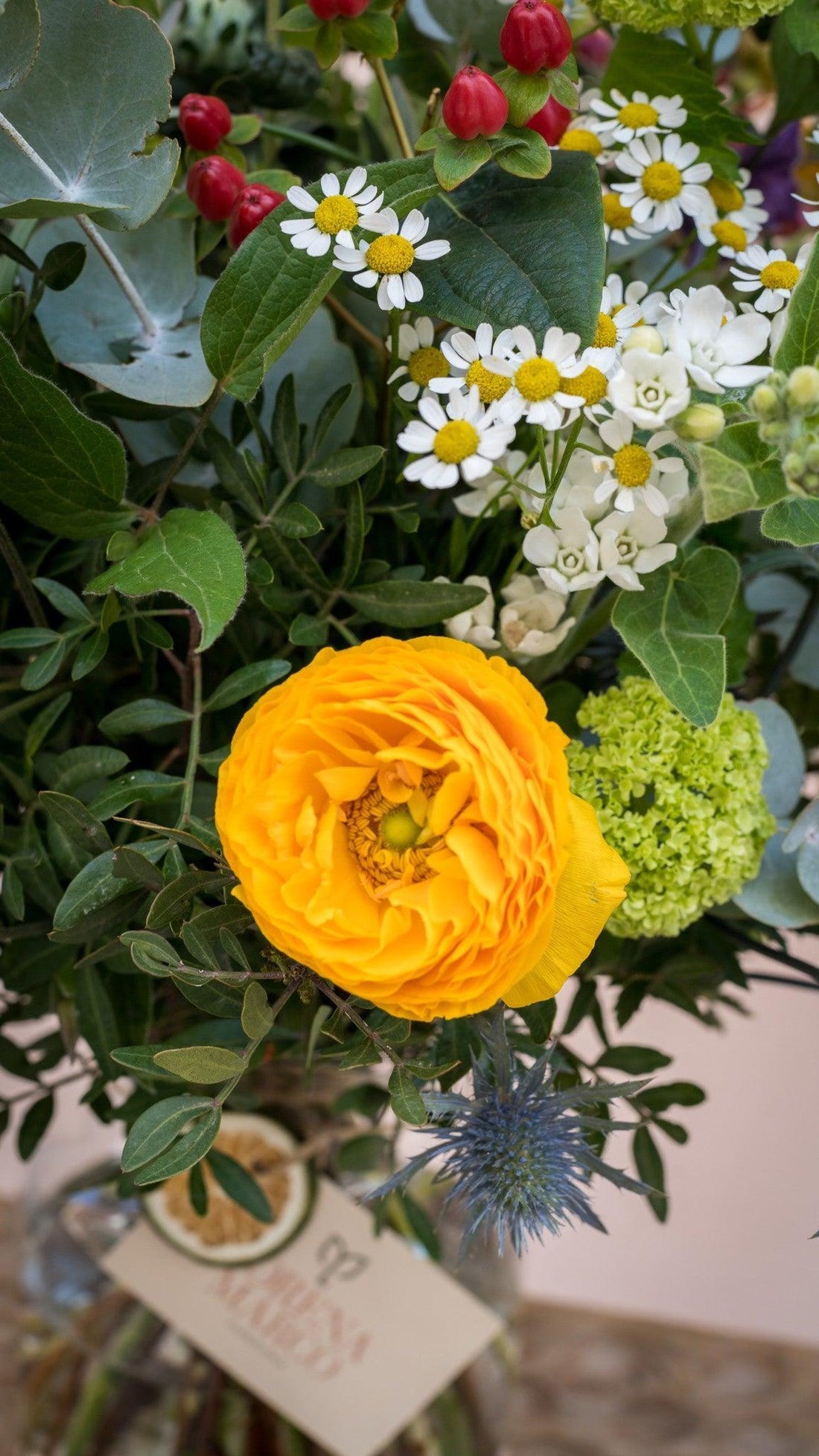 Ramo Patricia - Lorena Marco